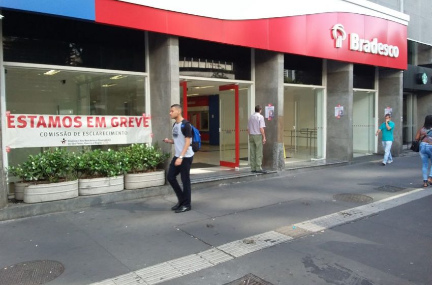 bradesco-sao-paulo-11.jpeg